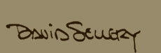 David Sellery home page